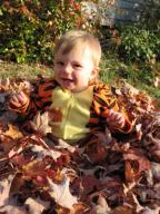 Sylvan happy in the leaves