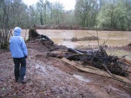 sister and flood 2003