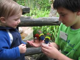 Sylvan smiles with Kenny and the lorikeets