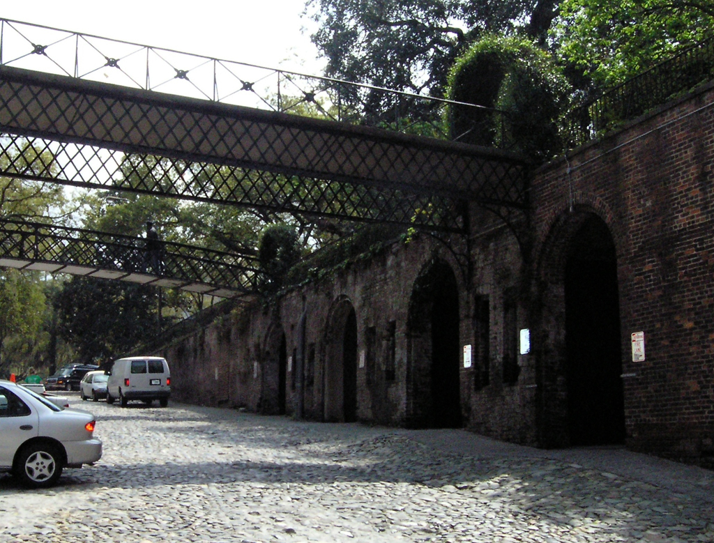 Savannah bridge