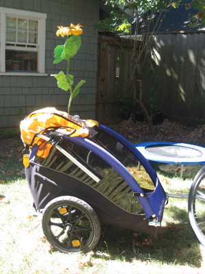 trailer with plastic sunflower