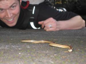 This garter snake is coming at me quickly - too quickly.