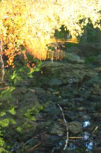 Clear water, brilliant foliage