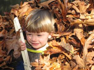 “Raking” leaves