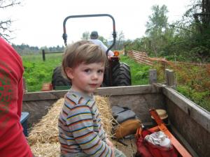 Sylvan worships Hal, who’s driving the tractor