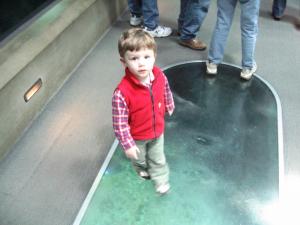 Sylvan walking through the shark tunnel