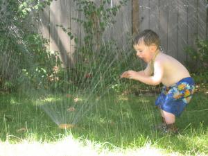 Sylvan drinks the sprinkler