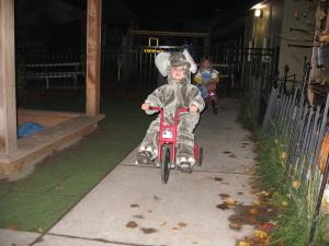 An elephant riding a tricycle