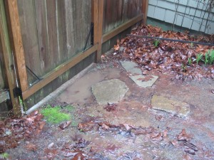 The gate and the puddle