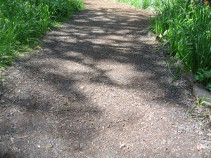path_shadows1